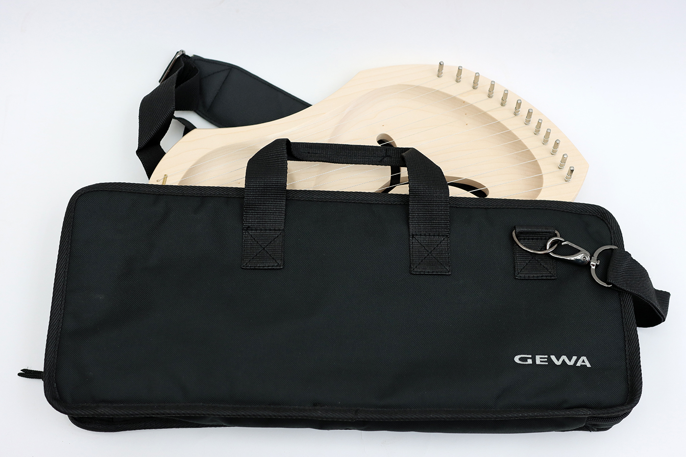 Tasche für Auris-Leier LDD und LDP