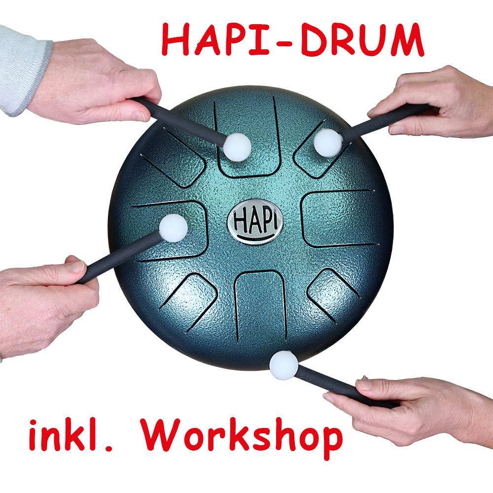Hapi-Drum E-Moll inkl.,Online-Workshop, 180 Minuten mit Allan Poteon