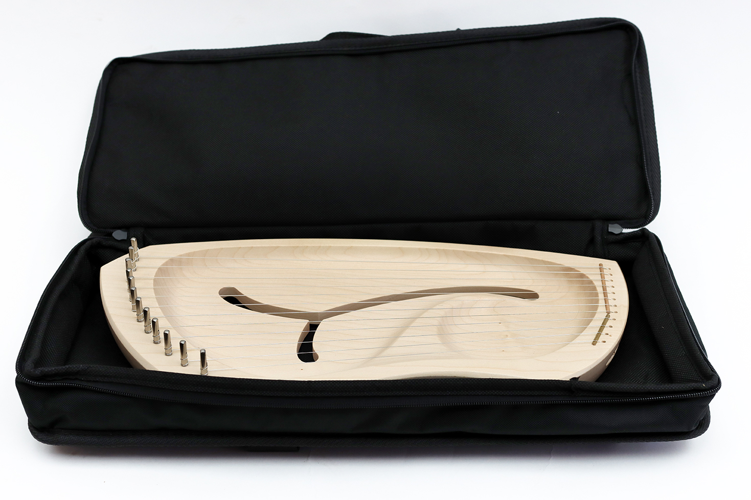 Tasche für Auris-Leier LDD und LDP