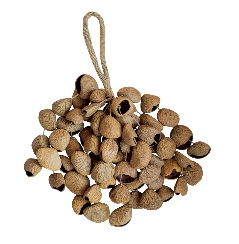 Hand-Shaker XXL, Pangi-Nussschalen, 25 x 16 x 9 cm